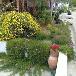 Ionia Pensión 4*