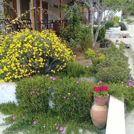 Ionia Aydın