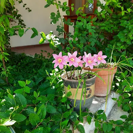 Konukevi Ionia