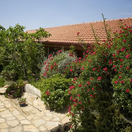 Ionia Aydın