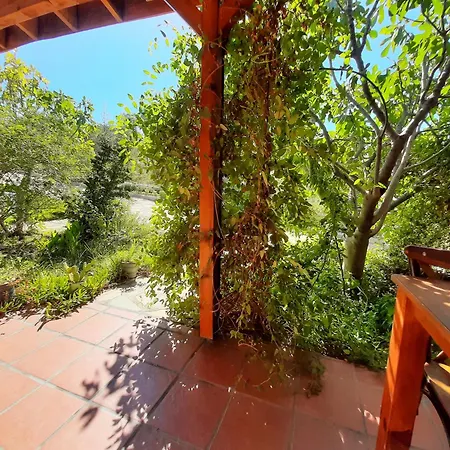 Ionia Guest house Aydin