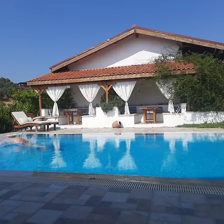 Ionia 4*