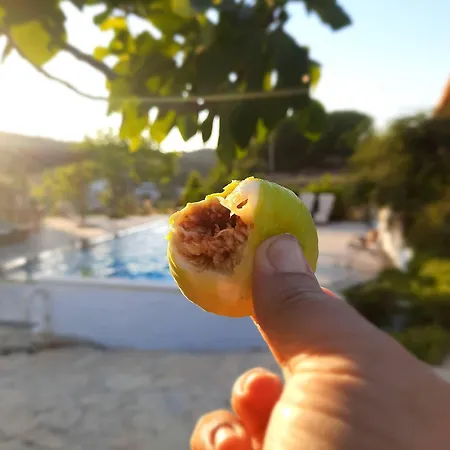 Ionia Pensión Aydin