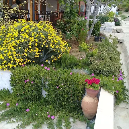 Ionia Guest house 4*