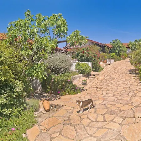 Ionia Guest house Aydin
