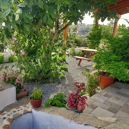 Ionia Guest house Aydin