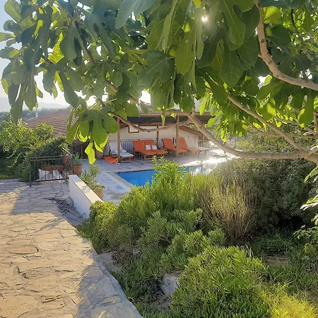Guest house Ionia