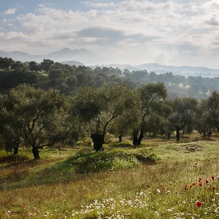 Affittacamere Ionia