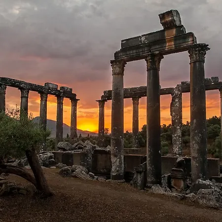 Ionia Aydın