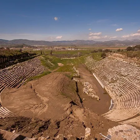 Ionia Aydın