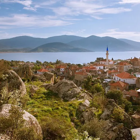 Ionia Aydın