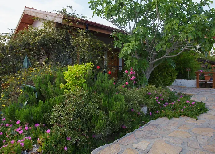 Ionia Гостевой дом 4*