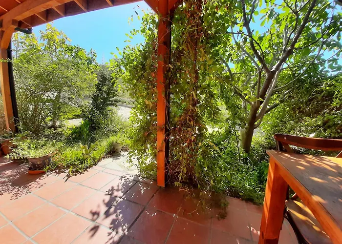 Ionia Гостевой дом Айдын