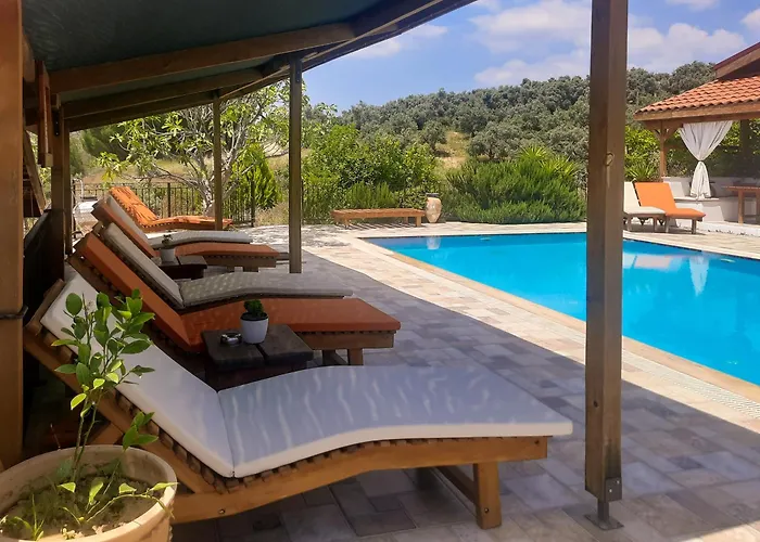 Pensionat Ionia Aydin