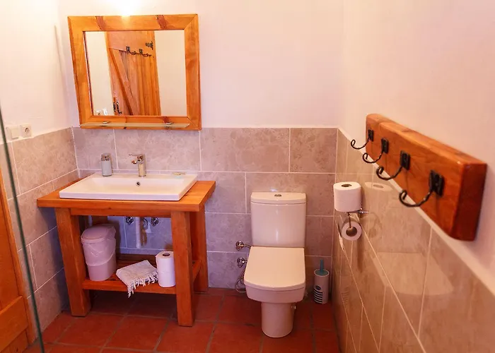 Pensionat Ionia Aydin