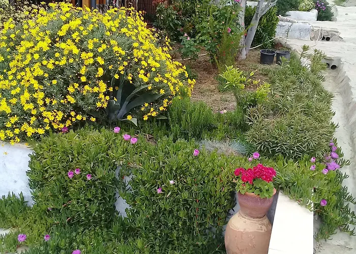 Ionia Гостевой дом 4*